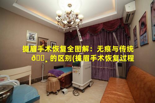 提眉手术恢复全图解：无痕与传统 🌸 的区别(提眉手术恢复过程图无痕提眉和提眉有什么区别)